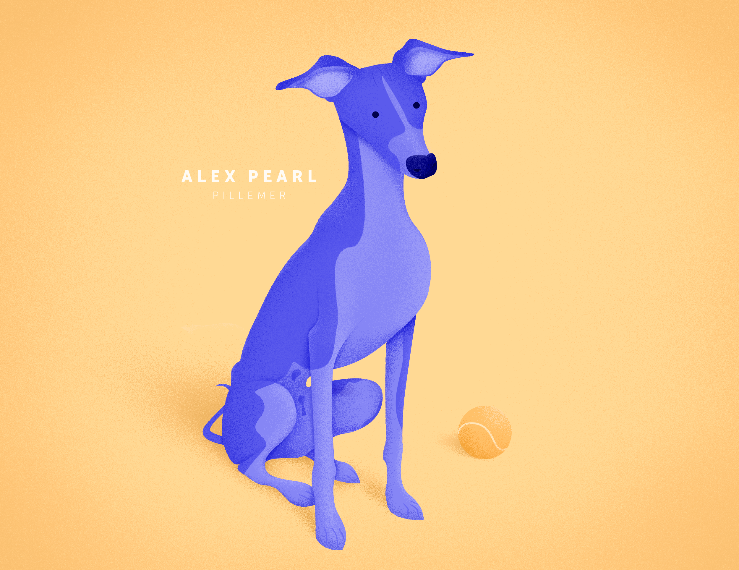 Example of Whimsical Whippet