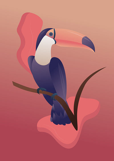 Toucan animal animals art bird brand identity design illustration pink toucan vector