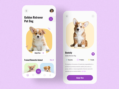 Pet Shop App app app design app ui app ui design design pet shop pet shop app uihut visual visual design