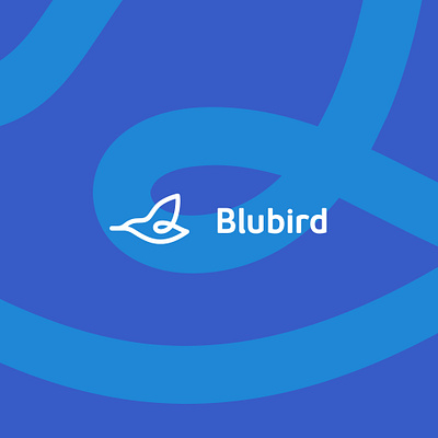 Blubird - Transportation Visual Identity brand identity branding design graphic design logo visual identity