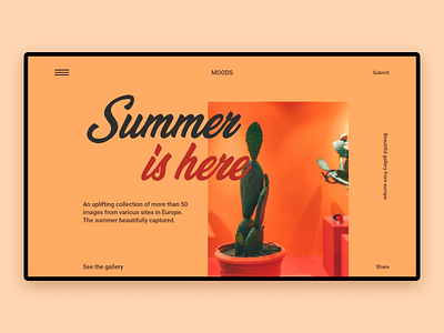 Web gallery Ui 2020 abstract asthetic coolui flat interface minimal trending uidesign uiux uiuxdesign warmcolors webdesign