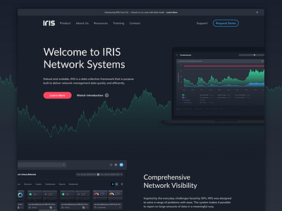 Iris Landing Page | Dark Theme 🌑 crypto dark dark app dark mode dark theme dark ui dashboad data database dataviz design home home page homepage landing landing page landing page design network saas software