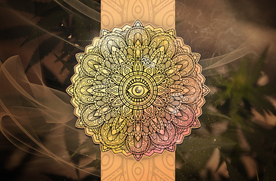Mandala brand branding design designs esports fire flame illustartor logo mandala mandalas skull vector