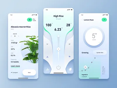 2020 Plant Growth figma ui