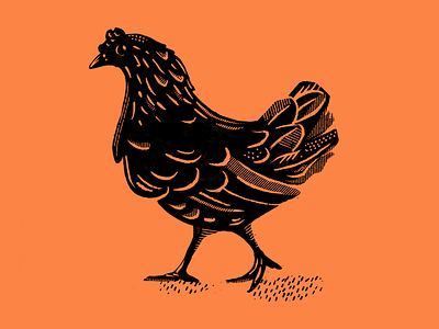 Chicken Doodle chicken farm animal halftone honey bee illustration local honey procreate