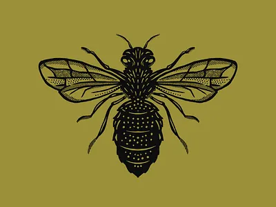 Bee Illustration bee honey bee illustration procreate