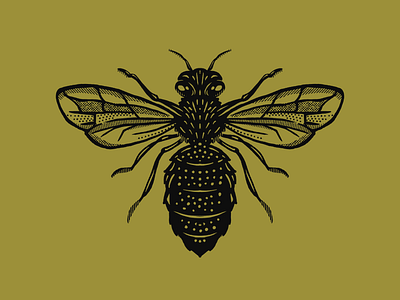 Bee Illustration bee honey bee illustration procreate