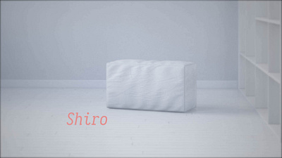 shiro 3d 3d art 3dsmax clay vray