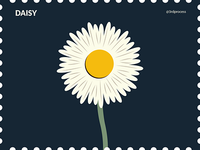 Daisy - Day 2 100dayschallenge 100daysofillustration daisy design dribbble dribbbler flat flower flower illustration flowers illustration illustrator plant illustration plants simple simpleillustration vector