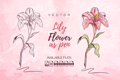 Lily Flower as Pen flower illustrator lily pen