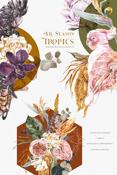 All season Tropics Floral Watercolor art clipart design floral flowers graphic graphic design graphic elements graphics illustration illustrations png tropic tropical tropical leaves tropics vector watercolor watercolor floral watercolor flowers