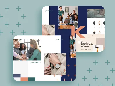 Stylescape Direction A brand identity branding branding design ui uidesign ux uxdesign wip