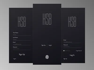 HSB Log in & Sign up app banking black white design flat illustration logodesign ui ux