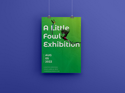 Bird Exhibition Poster birds grahic design nature poster