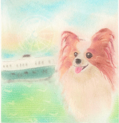 Papillon puppy and Ferry starferry