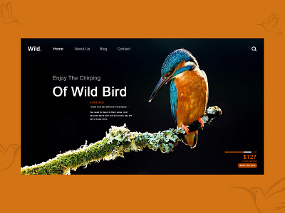 Wild Bird Srore Webdesign creative design design design inspiration designer designway designweb designwork inspiration logo design symbol logo photoshop ui user experience userinterface ux web webdesign webinspiration website website concept wild animal