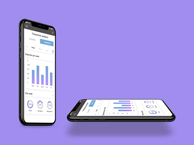 Daily UI/Analytics Chart - #018 analysis design diagram expenses income mobile ui web