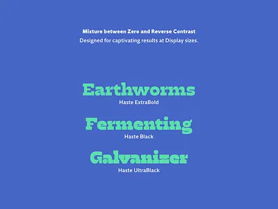 Haste display dstype serif typography