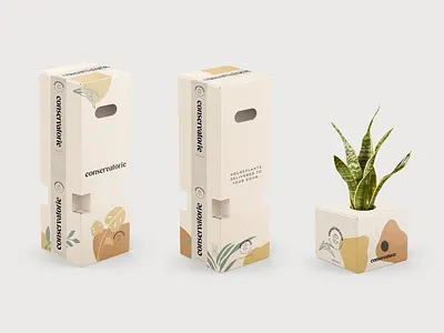 Conservatorie Packaging Boxes abstract big brand branding branding concept color concept cream development ecommerce identity illustration logo packaging pattern plants studio team vector vintage