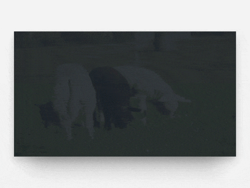 landing page animation animation farm green hero parallax scrolling simplicity ui vegetable video village web website