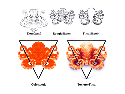 Illustration Process artwork colorful education educational illustration illustrator octopus process procreate sea creature texture