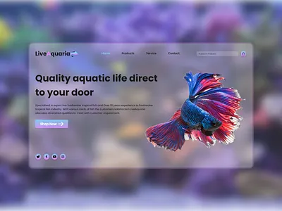 Landing page UI for online tropical fish aquarium aqua concept design fish landingpage modern ui uiux uiuxdesign webdesign
