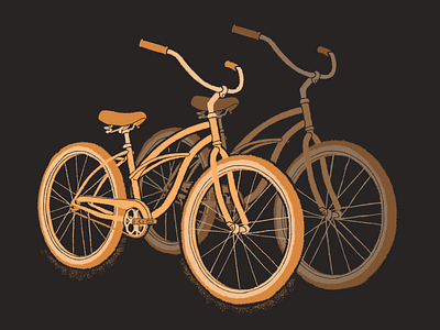 His 'n Hers bicycle bike bike ride bikers bikes cruiser