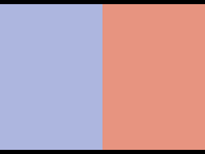 Zoo Concept animation design graphic design illustration ui ux web web design website