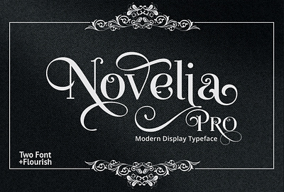 Novelia Pro branding display font lettering modern modern font sans serif serif font type typeface typography