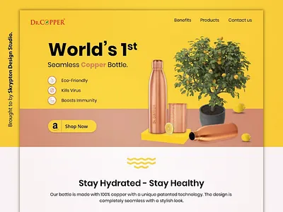 Landing Page Design campaign landing page marketing shot
