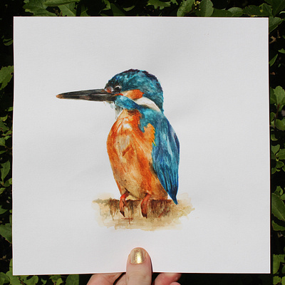 Kingfisher Illustration bird birdlogo creativity design gouache graphicdesign illustration kingfisher nature outdoors photography print watercolor watercolour illustration wildlife