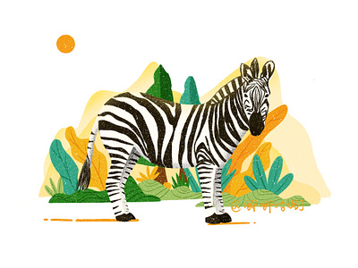 Zebra illustration