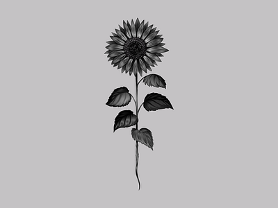 sunflower logo blackandwhite design illustration illustrations logodesign sunflower vector