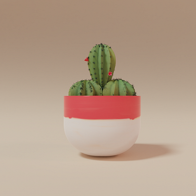 Cactus 3d artist 3dmodeling cactus colorful vase