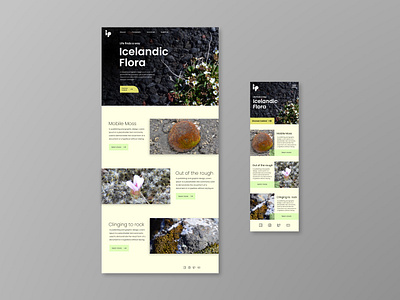 Icelandic Botanical Tourism Site desktop figma iceland landing page mobile photography photos plants rock ui ux website