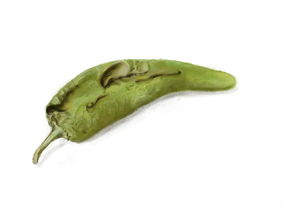 Roasted Green Chile design illustration logo