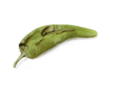 Roasted Green Chile design illustration logo