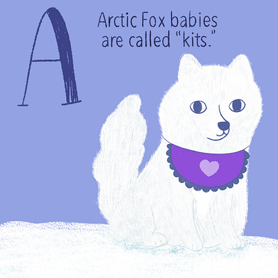 Arctic Fox arctic fox baby animals