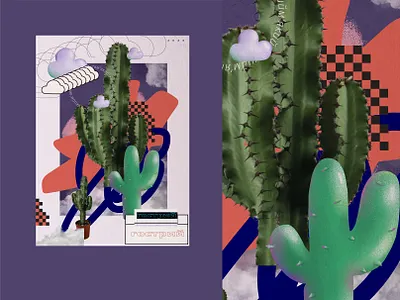 Cactus and clouds business cloud design illustraion illustration poster ui vector