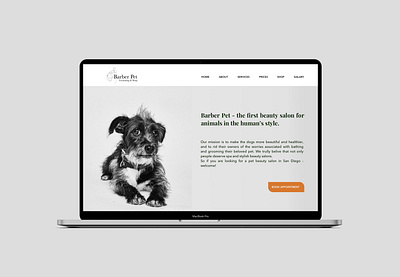 Landing Page and logo design for grooming Salon graphicdesign logo ui design uxdesign uxui webdesign