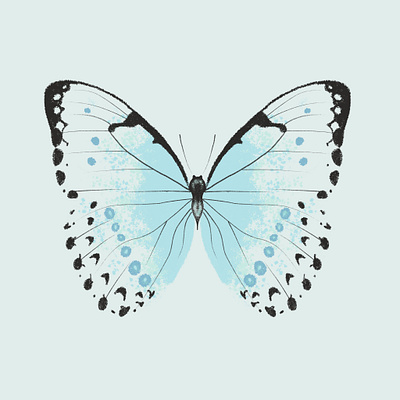 Mint Morpho Butterfly antenna bug butterfly illustration insect procreate
