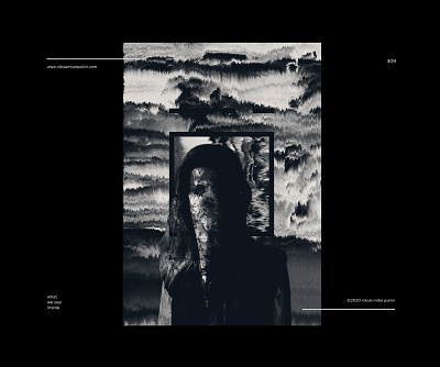 no. 309 face shifter blackandwhite composition contrast design digital digitalart glitch glitch art photoshop poster poster a day posterdesign postereveryday surrealart texture