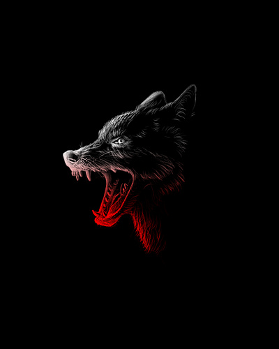 Predator Animals Project No.2 animal animals debut digital drawing digitalart digitalpaiting firstshot gradient illustration predators wildlife wolf