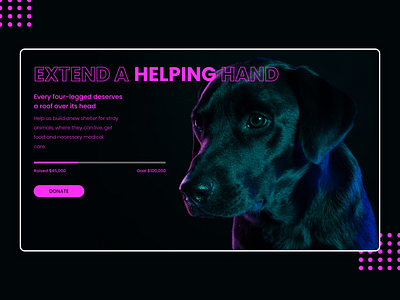 Crowdfunding Campaign adobe xd crowdfunding dailyui dailyuichallenge typography web design webdesign webui