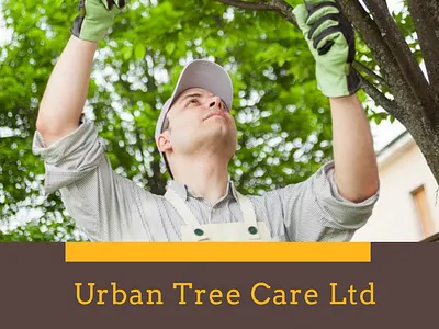 Urban Tree Care Ltd