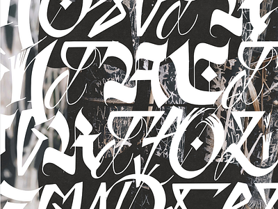 Custom Type 🌿 branding calligraphy design lettering type typography