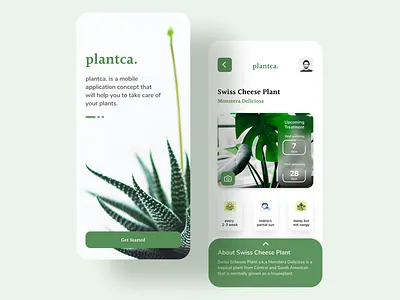 plantca. design figma interface mobile mobile app mobile design mobile ui mobileapp monstera plant ui uiux ux