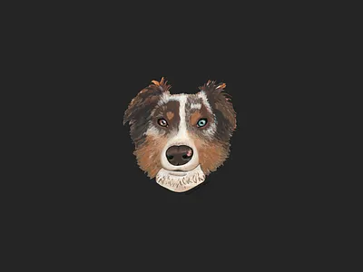 Riggles with the Wiggles acrylic aussie australian shepherd bestfriend dog illustration painting watercolor