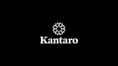 Kantaro branding design graphic design illustration logo typography vector
