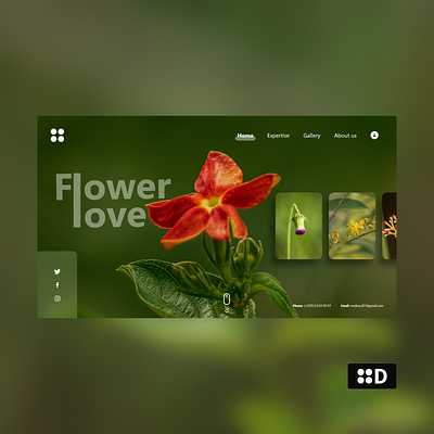 Web design for flower love design minimal ui ux web web design website